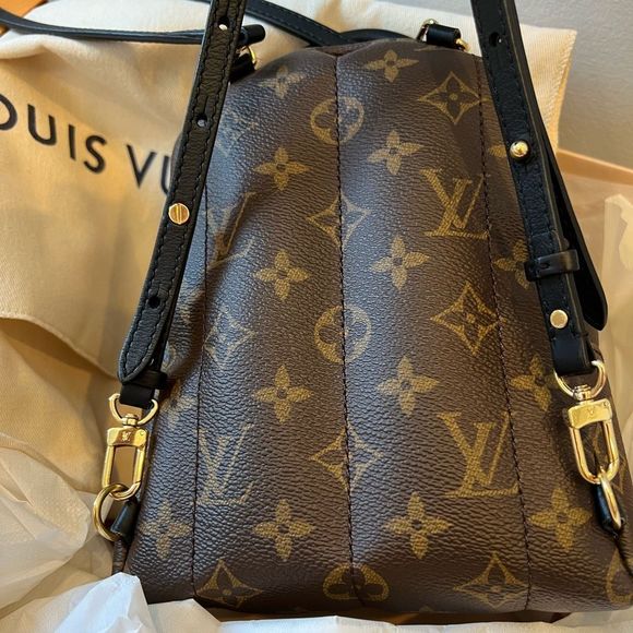 LOUIS VUITTON (LV) PALM SPRINGS MINI BACKPACK - Picture 3 of 14
